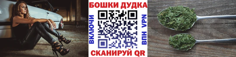 Где купить Лодейное Поле MEGA маркетплейс Меф мяу мяу COCAIN Гашиш Марихуана A-PVP