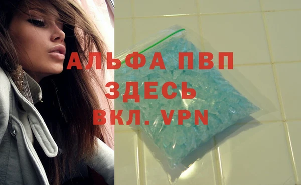 прущая мука Магас