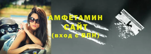 индика Богородицк