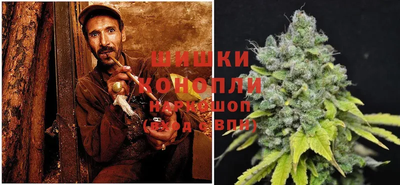 цены наркотик  Лодейное Поле  Каннабис SATIVA & INDICA 